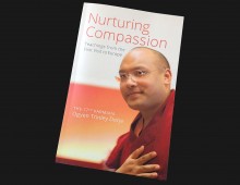 Nurturing Compassion – HH Karmapa